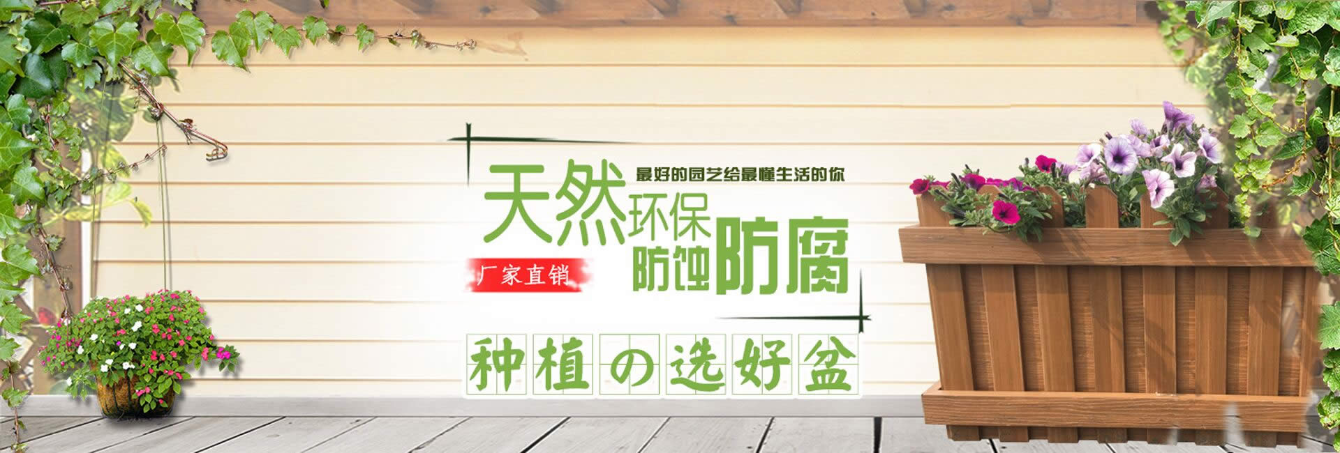 成都星沃